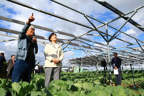 Corea del Sur planea legislar para promover proyectos fotovoltaicos agrícolas